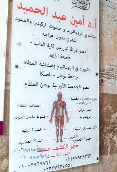 Amyn Abdelhamid