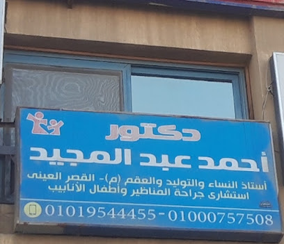 Ahmed Abdelhk