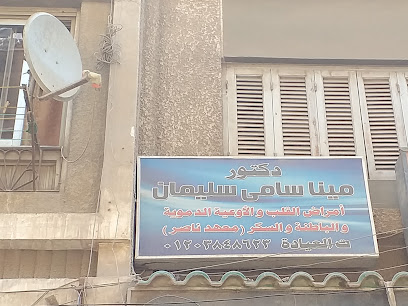 مينا سامى سليمان