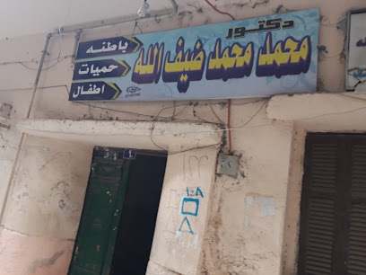 Mohamed Mohamed Dyf El-Lh