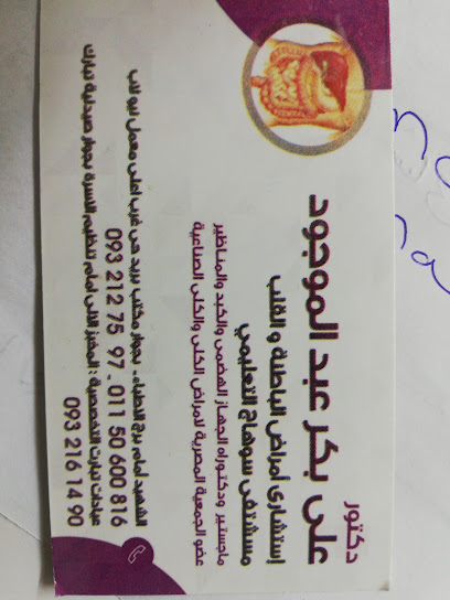 Ali Bakr