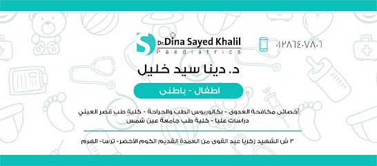 دينا سيد خليل