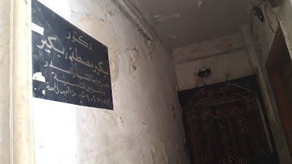 بكير مصطفى بكير