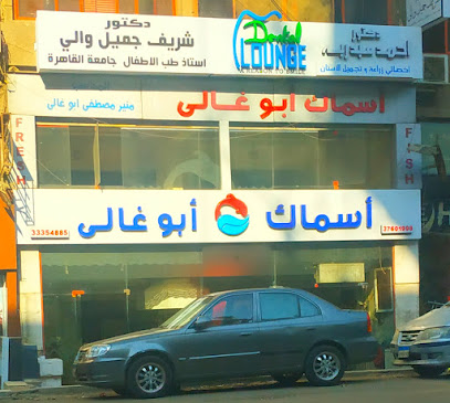 Sherif Gmyl Waly