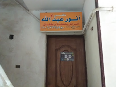 أنور عبدالله