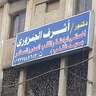 اشرف الجنزورى
