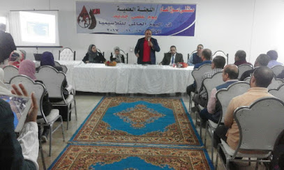 Ayman Shaban El-Grwany