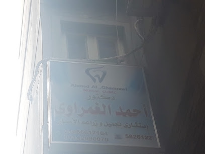 أحمد مرغنى