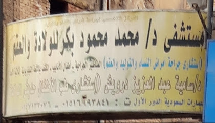 Mohamed Mahmoud Bkr Amyn