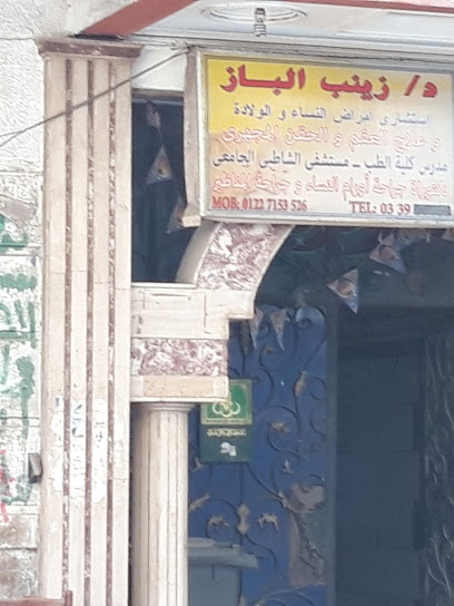 Zynb El-Baz