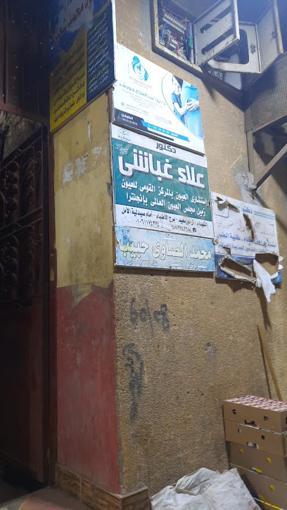 علاء غباشى