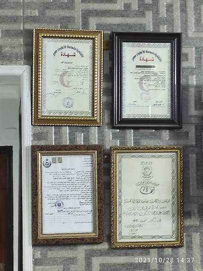 حجازى محمد حجازى