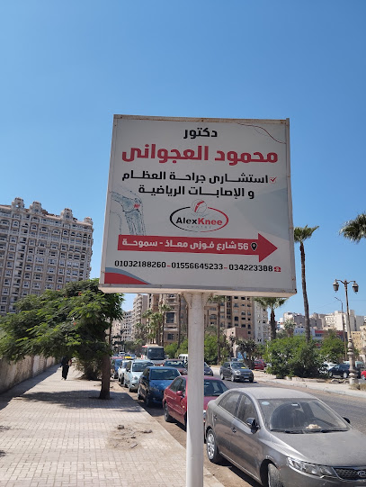 محمود العجواني