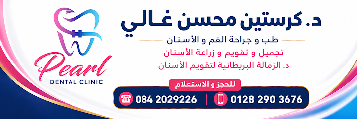 كرستين محسن غالي