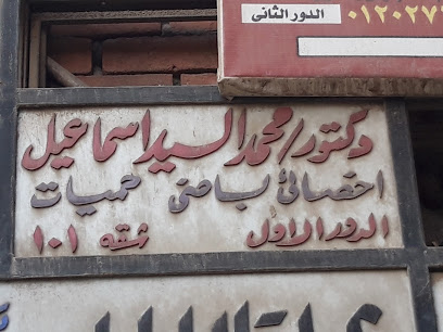 محمد السيد اسماعيل
