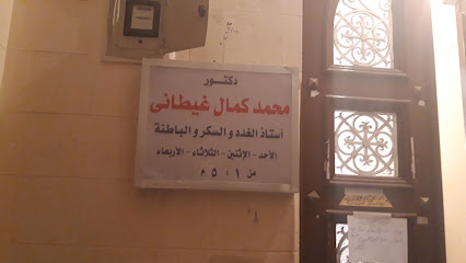 Mohamed Kamal Ghytany