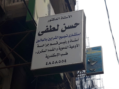 حسن لطفى