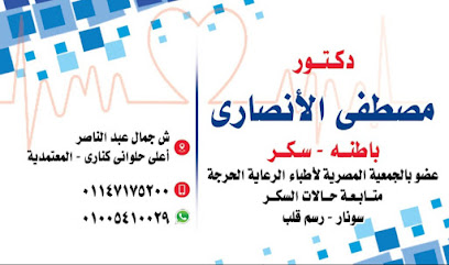 مصطفى الانصاري