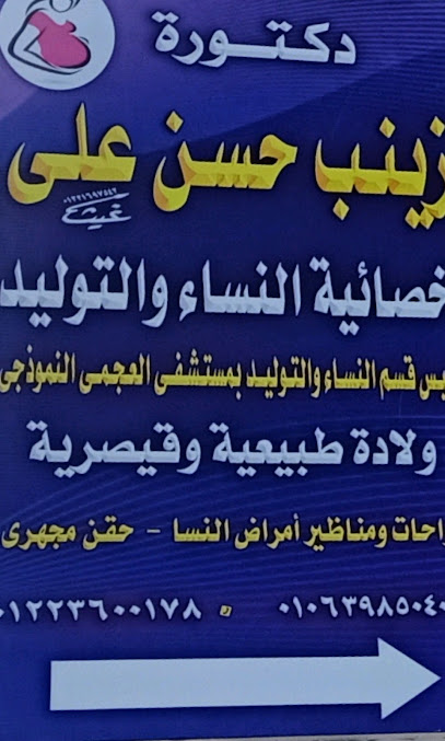 Zynb Hassan Ali