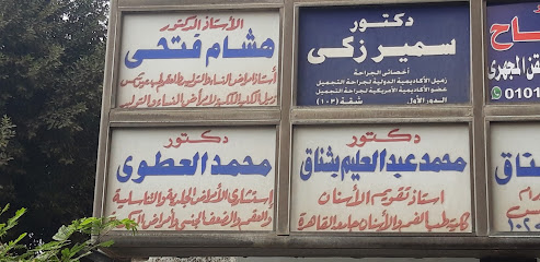 الأستاذ الدكتورهشام فتحى