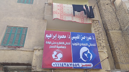 عمروحسن الخميسي