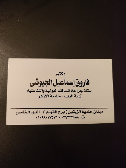 فاروق إسماعيل الجيوشى