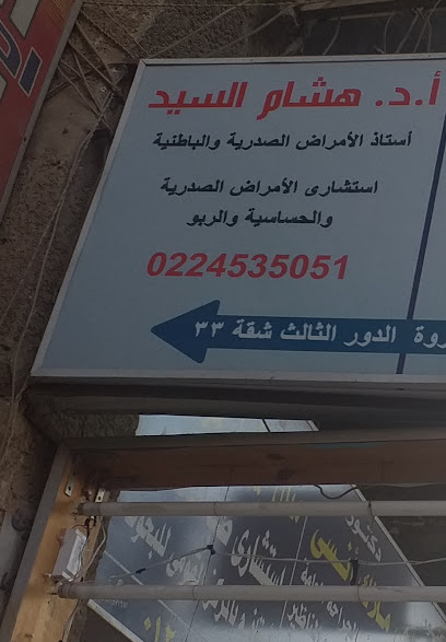 هشام السيد