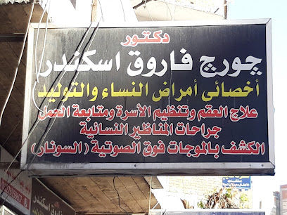 جورج فاروق إسكندر