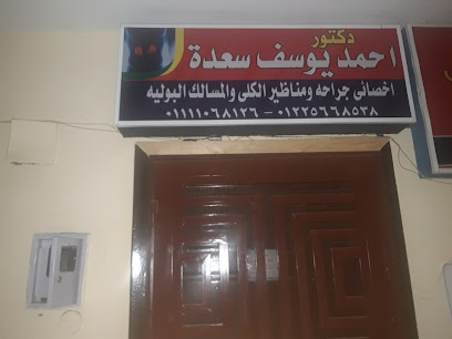 احمد يوسف سعدة