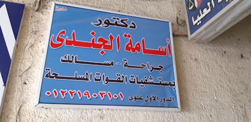 أسامة الجندى