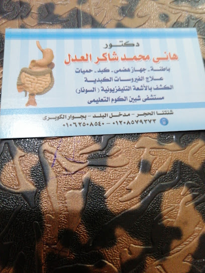 Hany El-Adl