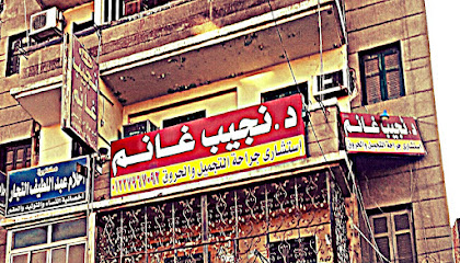 نجيب غانم