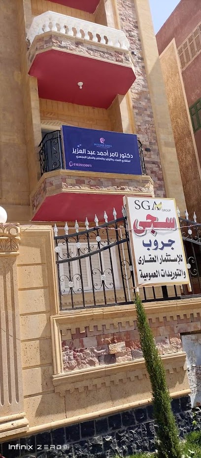 Tamer Ahmed Abdelaziz