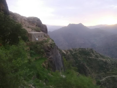 وليد حسن