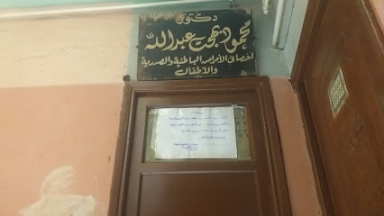 محمود بهجت عبدالله