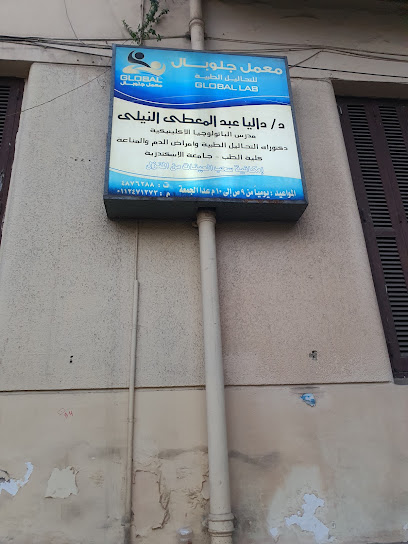 Mohamed Lotfy