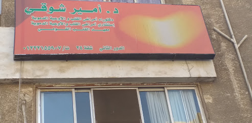 أمير شوقي