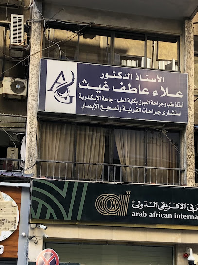 علاء غيث