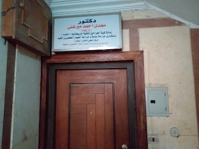 مجدى أحمد ميرغنى