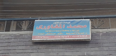 محمد المغاورى