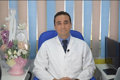 Amr Abdelaziz
