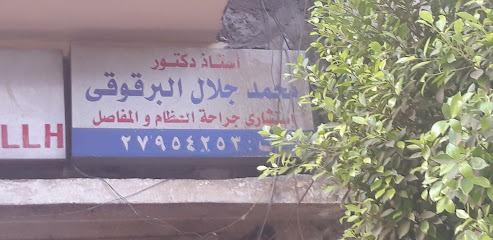 محمد جلال البرقوقى