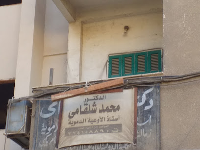 محمد شلقامى