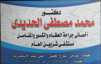محمد الحديدى