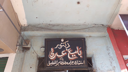 بليغ عدلى