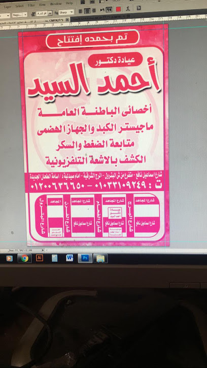 أحمد السيد