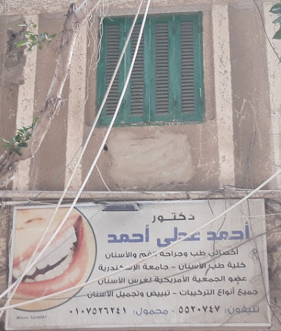 أحمد عدلى أحمد