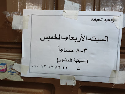 Ahmed Fathy El-Shrbyny