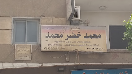 محمد خضر محمد
