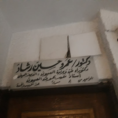 عمرو حسين رشاد